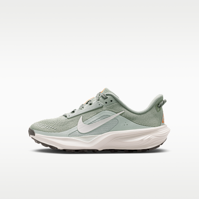 (Youth) Nike ACG Pegasus Trail Sneakers Jade Horizon/Light Silver/Safety Orange/Phantom IH2305-301