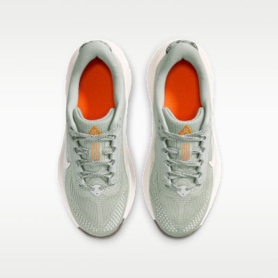 Shop (JR) Nike ACG Pegasus Trail運動鞋 玉色/淺銀/亮橘/幻影 IH2305-301