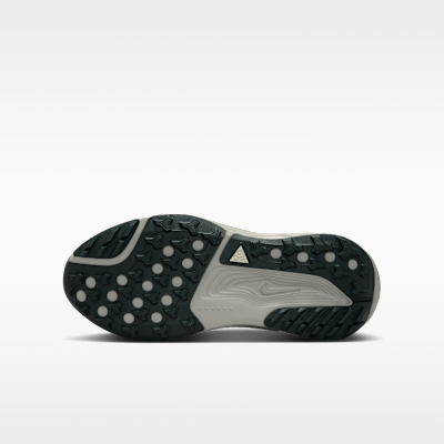 Order Nike ACG Pegasus Trail Verde Nebbia/Nero Spruce/Vetro di Mare IH2305-302