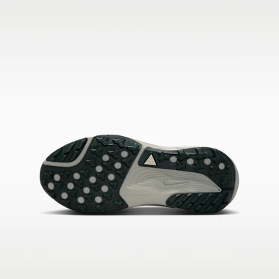 Nike ACG Pegasus Trail Verde Nebbia/Nero Spruce/Vetro di Mare IH2305-302 Order Nike ACG Pegasus Trail Verde Nebbia/Nero Spruce/Vetro di Mare IH2305-302