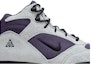 Order Nike ACG Torre Mid Kalispas Kalis Air 'Light Pumice' FD0212-002