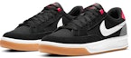 Lookbook Nike Adversary SB Premium 'Hitam' CW7456-002