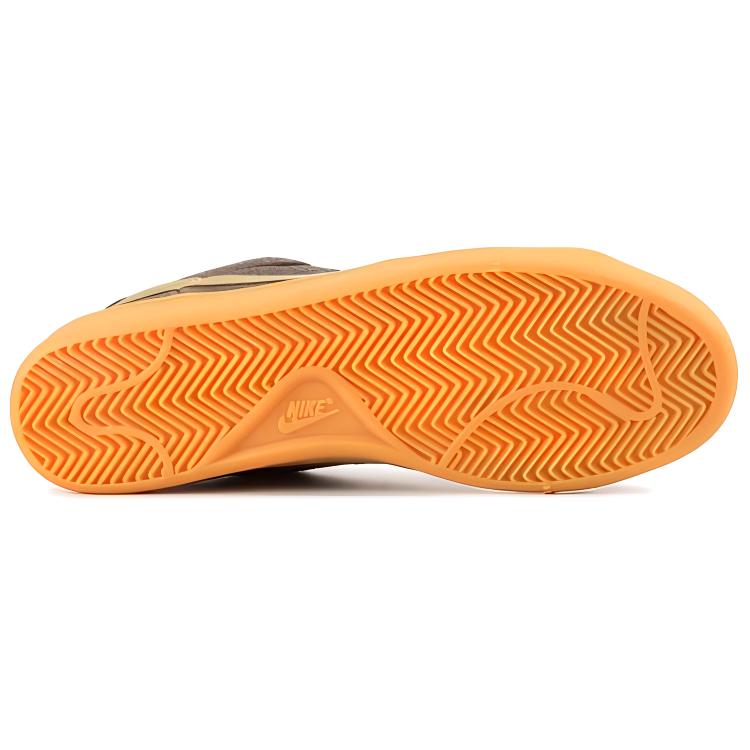 Shop 耐克Air Classic SB 'Jeremy Fish' 310704-271