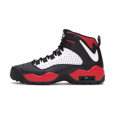 Nike Air Darwin Bulls
