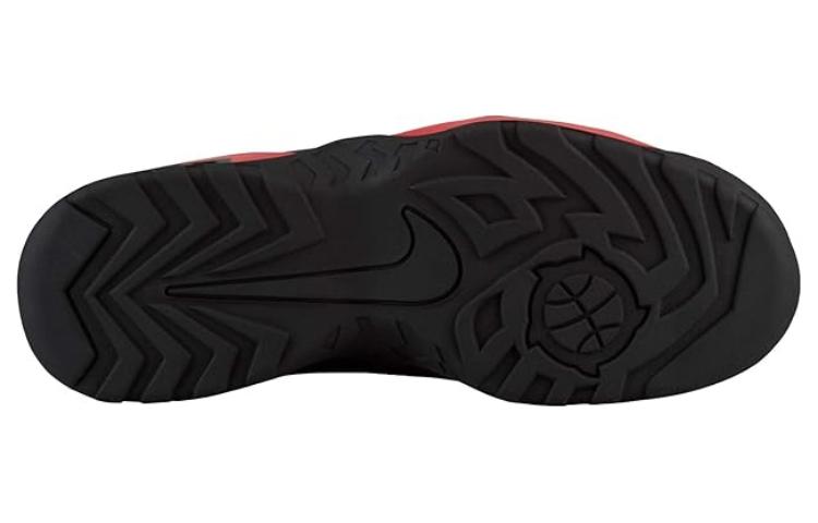 Details for Nike Air Darwin Bulls Zapatillas AJ9710-001