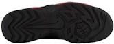 Details for Nike Air Darwin Bulls Zapatillas AJ9710-001