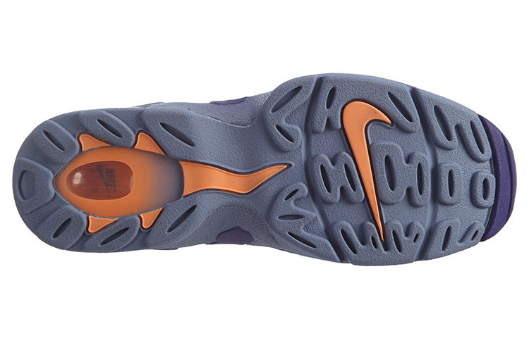 Purchase Nike Air DT Max 96 ''Lila'' 316408-500
