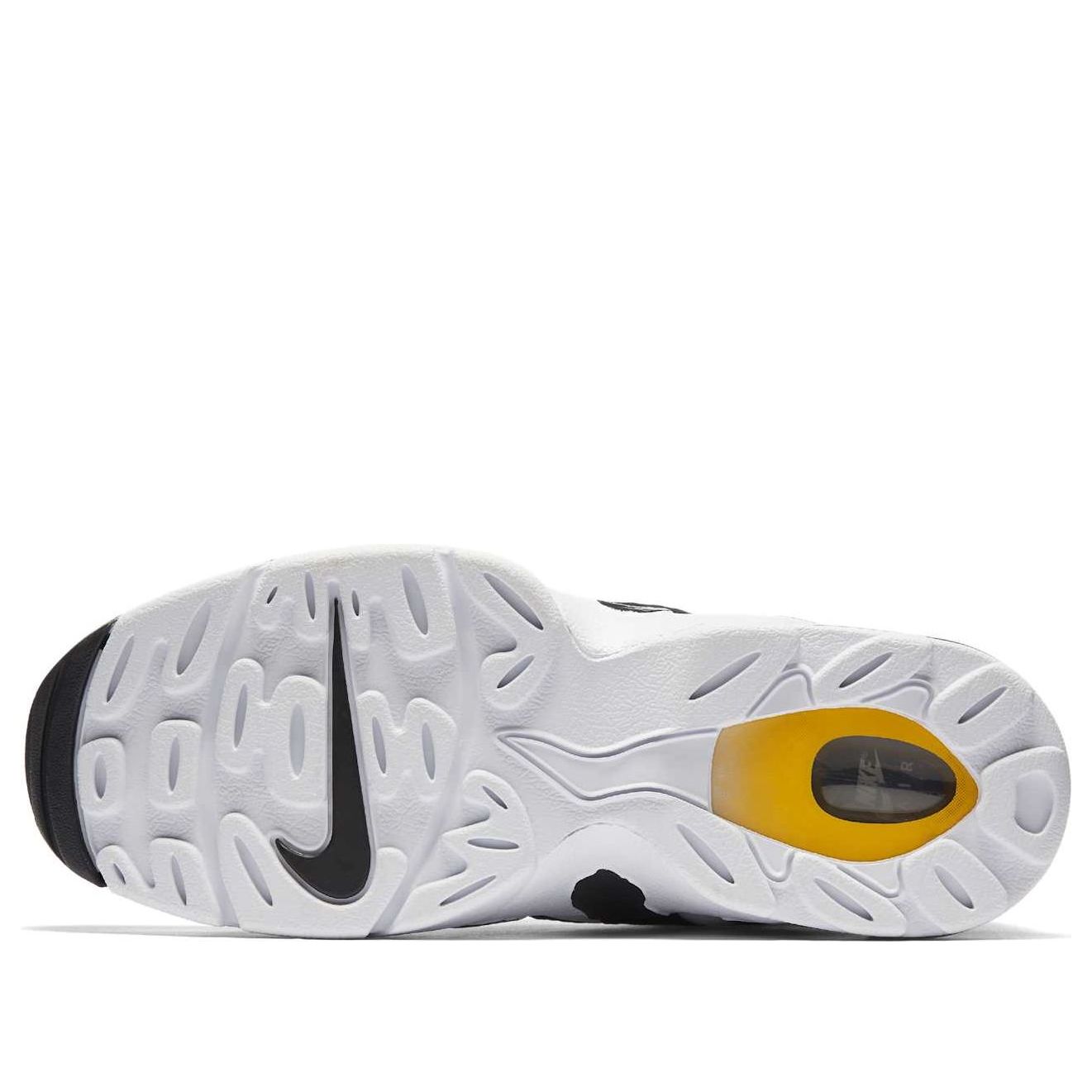 Details for Nike Air DT Max '96 'Hitam Putih' 2013 316408-003