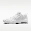 Buy Nike Air DT Max ''96 低筒 白/淺煙灰/金屬銀 IO4223-100