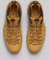 Purchase Nike Air Foamposite One Grano 575420-700