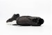 Nike Air Footscape Woven Chukka 'Hitam Gading' 857874-001