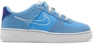 Buy (Grade School) Nike Air Force 1 LV8 S50 'University Blue' DB1561-400