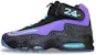 Nike Air Griffey Max 1 'Purple Venom' 354912-500