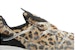 Nike Air Kukini 'Leopard' Lelaki Perempuan Kasut Sneakers DJ6418-001