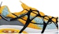Nike Air Kukini 'Katak Racun Berbisa' DZ4393-700