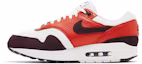 Shop 耐克Air Max 1 '勃艮第粉碎' FN6952-102