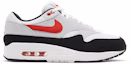 Buy Nike Air Max 1 'Chili' 2023 FD9082-101