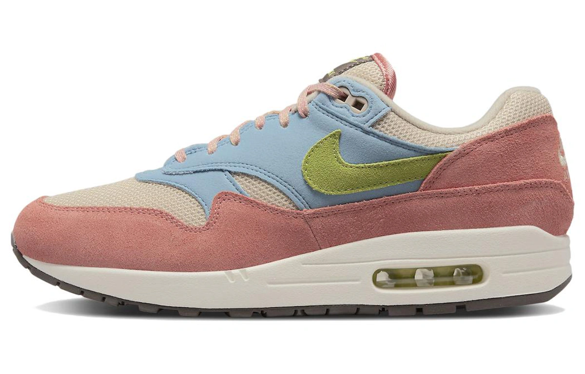 Nike Air Max 1 'Light Madder Root' DV3196-800