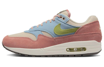 Nike Air Max 1 'Light Madder Root' DV3196-800
