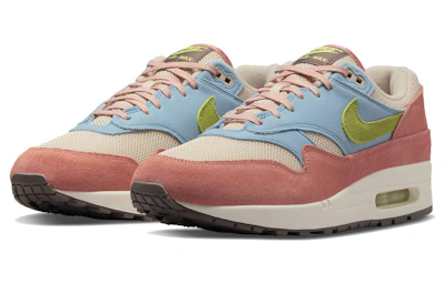 Nike Air Max 1 'Light Madder Root' DV3196-800