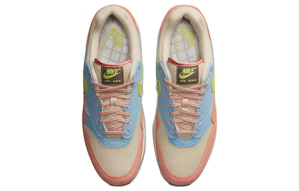 Nike Air Max 1 'Light Madder Root' DV3196-800