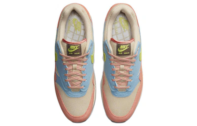 Nike Air Max 1 'Light Madder Root' DV3196-800