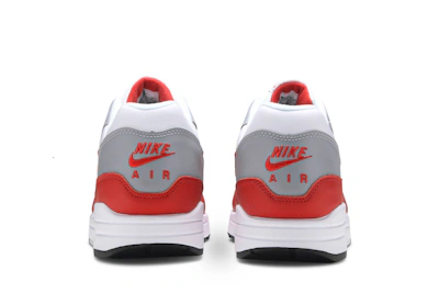 Nike Air Max 1 'Martian Sunrise' DH4059-102