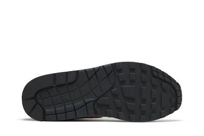 Nike Air Max 1 'Treeline' DR9773-300