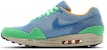 Nike Air Max 1 Pantai Rio 554718-443