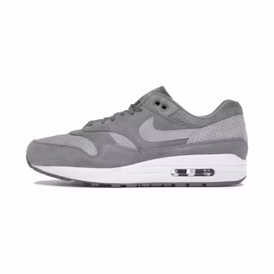 Nike Air Max 1 Cool Grey Wolf Grey