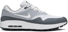 Buy Nike Air Max 1 Golf 'Platinum Tulen' AQ0863-002