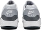Details for Nike Air Max 1 Golf 'Platinum Tulen' AQ0863-002