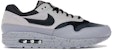 나이키 에어 맥스 1 그라디언트 토 플래티넘 (Nike Air Max 1 Gradient Toe Platinum) 875844-003