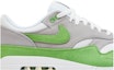Order Nike Air Max 1 Patta Chlorophyll (2024) - Kasut Patta Hijau Tumbuhan 2024 HF1012-300