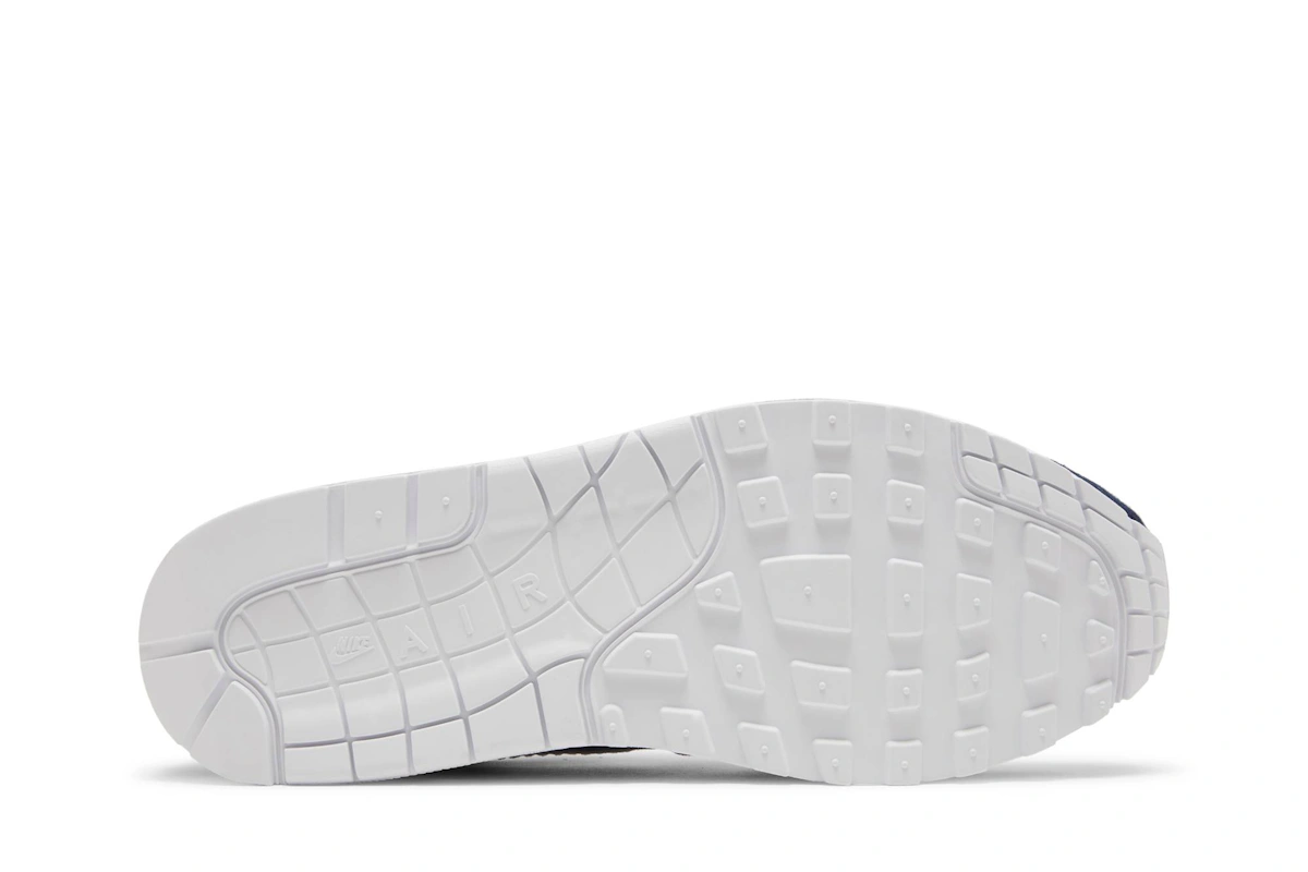 Nike Air Max 1 Premium 'Denim Leopard' FJ4452-432