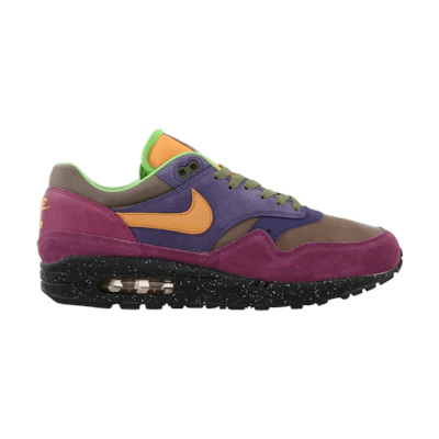 Nike Air Max 1 PRM 'Terra Hurache'