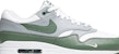 Nike Air Max 1 PRM 'Spiral Sage' Lelaki & Wanita DB5074-100