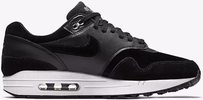 Shop Nike Air Max 1 叛逆骷髏 875844-001