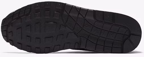 Details for Nike Air Max 1 叛逆骷髏 875844-001