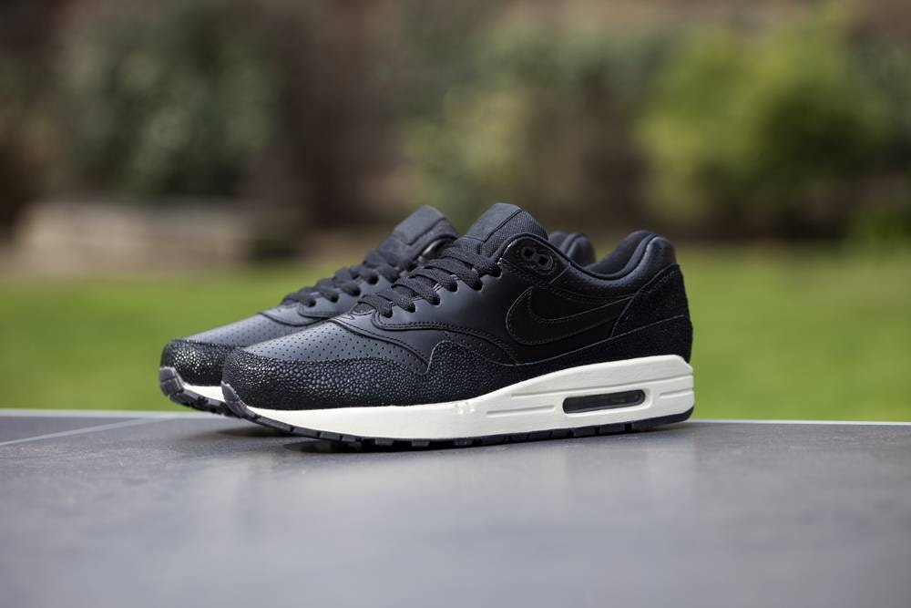 Nike Air Max 1 Stingray Pack 705007 001