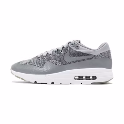 Nike Air Max 1 Ultra Wolf Grey