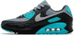 Nike Air Max 90 'Hitam Dusty Cactus' DM0029-013