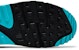 Nike Air Max 90 'Hitam Dusty Cactus' DM0029-013