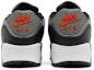 Details for Nike Air Max 90 'Hitam Pewter Merah' FD0664-001