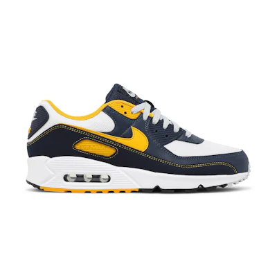 Nike Air Max 90 'Dunk From Above'