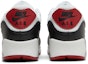 Details for Nike Air Max 90 'Photon Dust' DO8902-001