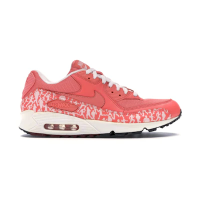 Nike Air Max 90 'Powerwall Sunblush'
