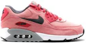 Order Nike Air Max 90 'Terra Red' 333888-602
