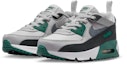 Purchase (Youth) Nike Air Max 90 Easy On Evergreen Aura/Summit White/Bust Gray/Cool Gray IH1417-300