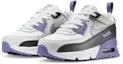 Purchase Nike Air Max 90 Easy On White/Dusty Amethyst/Photon Dust/Light Smoke Gray IH1417-129